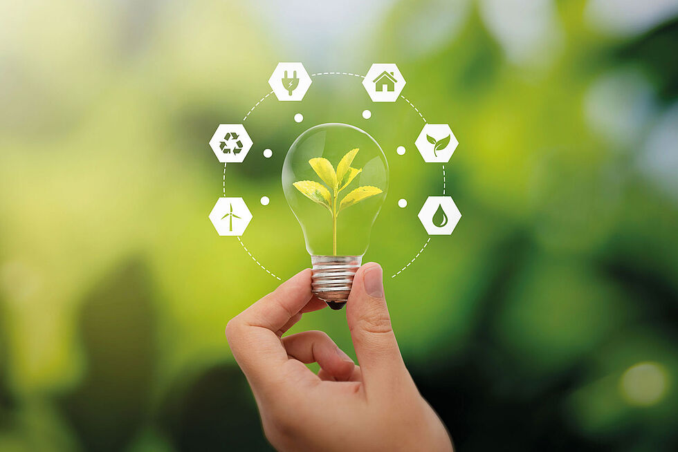 Hand hält Glühbirne, in der ein Pflänzchen wächst. Um Glühbirne sind die Symbole Windenergie, Nachhaltigkeit, Strom, Haushalt, Natur, Wasser angeordnet